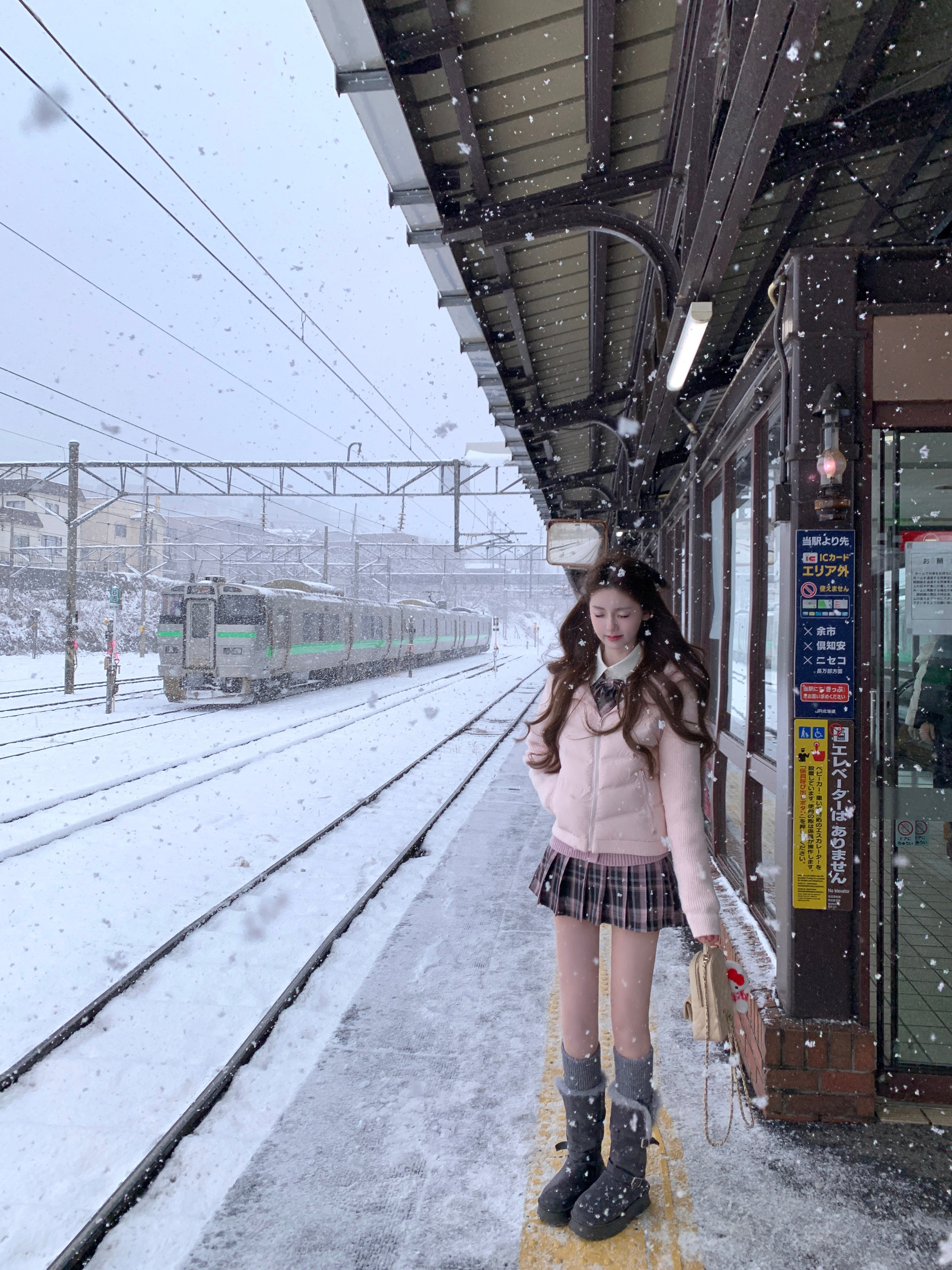 春天的花是冬天的梦❄️