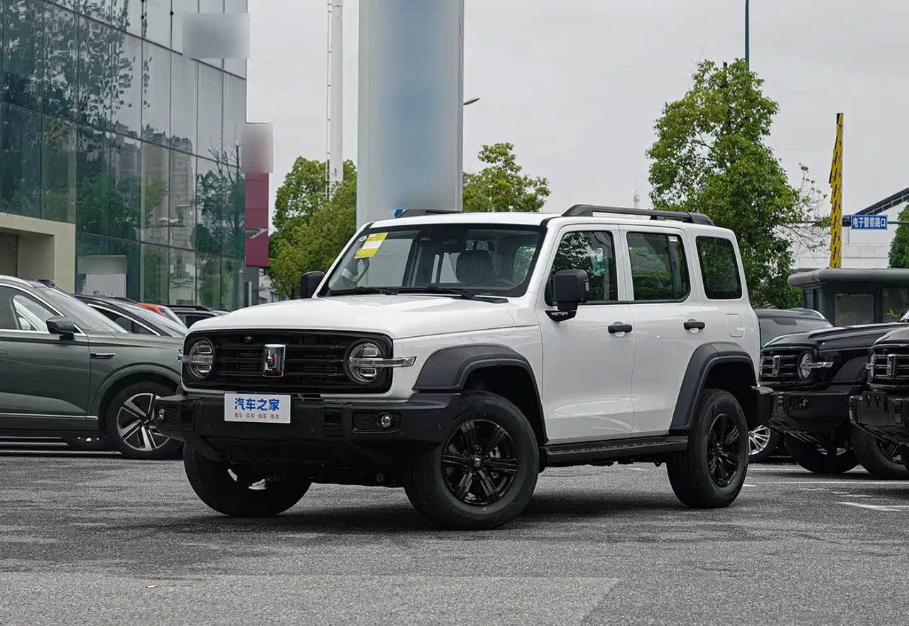 坦克3002.4T柴油版：5个真实优缺点：坦克3002.4T柴油版作为一