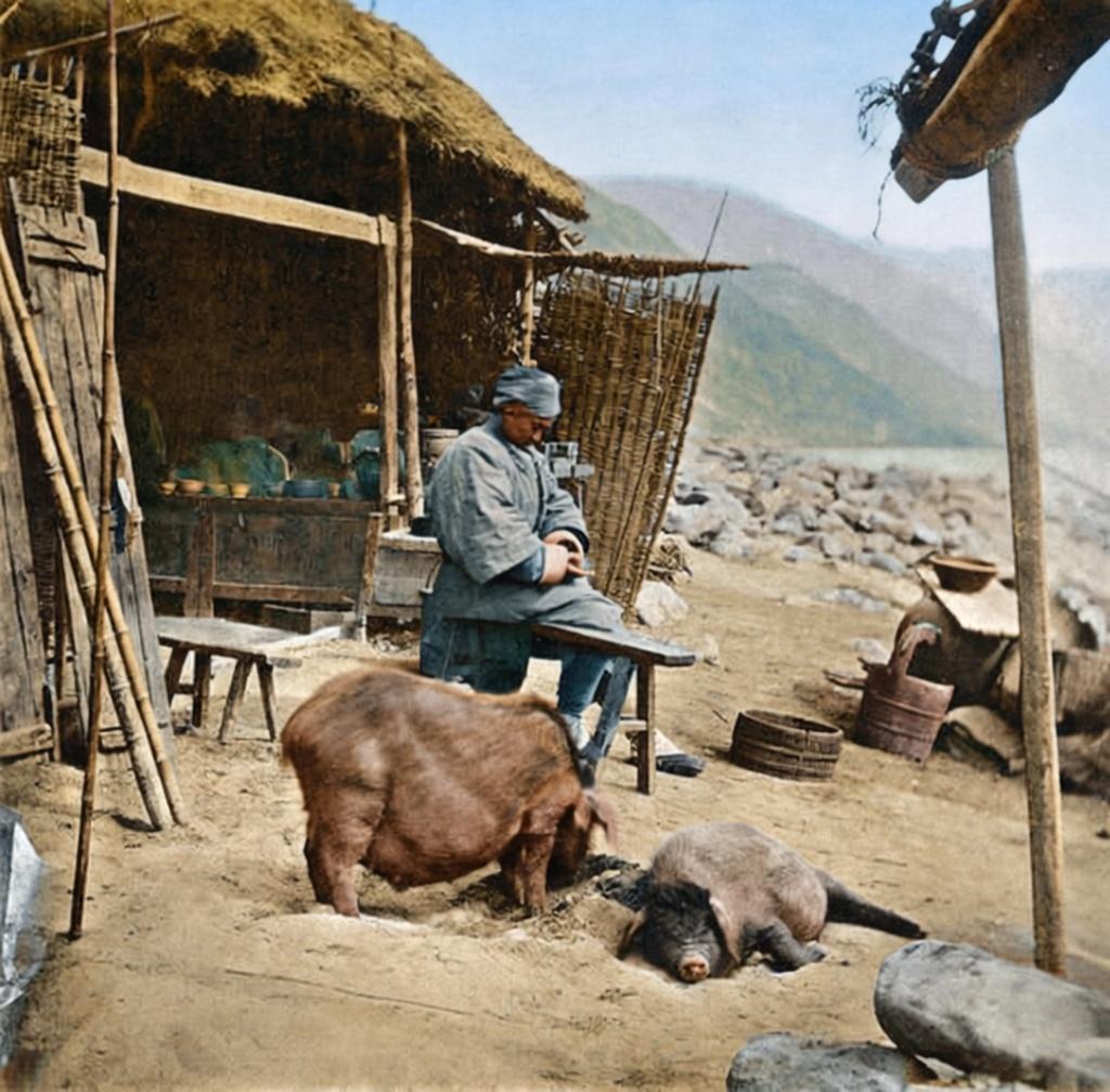 民国时期，南方山区一户普通农家，房屋是典型的干栏式草棚，以竹木为架，茅草覆顶，墙