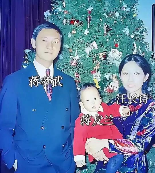 70年代中后期，蒋孝武的太太汪长诗，想着给一双儿女找个靠谱的家教，就走了公开招聘