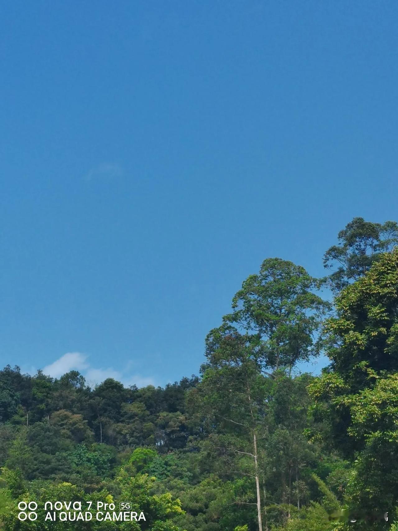 福薄认知低的人，接不住真诚，留不住贵人！这种人聪明会算计，但拎不清不