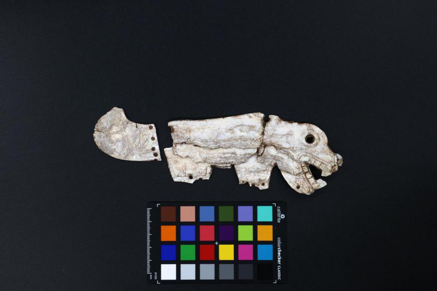 中国两项考古入选世界考古论坛重大田野考古发现成果展示