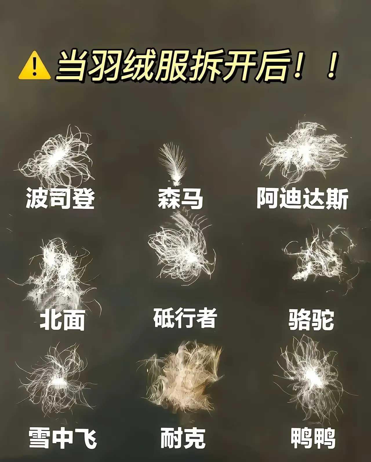 其实羽绒服并不是越出名约好