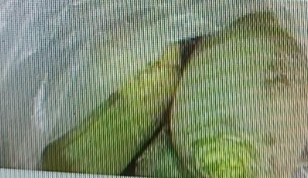 吃白萝卜一小时后，可别轻易碰橘子。白萝卜进入人体后，会产生一种抗甲状腺的物质硫氰