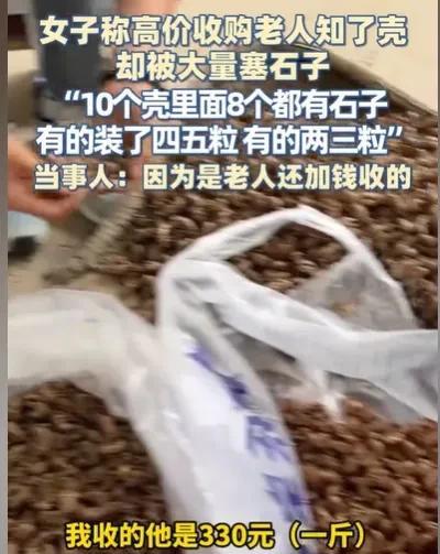 陕西铜川，女子去收知了壳，一斤325元，她一收就一发不可收拾，收了很多，特别是在