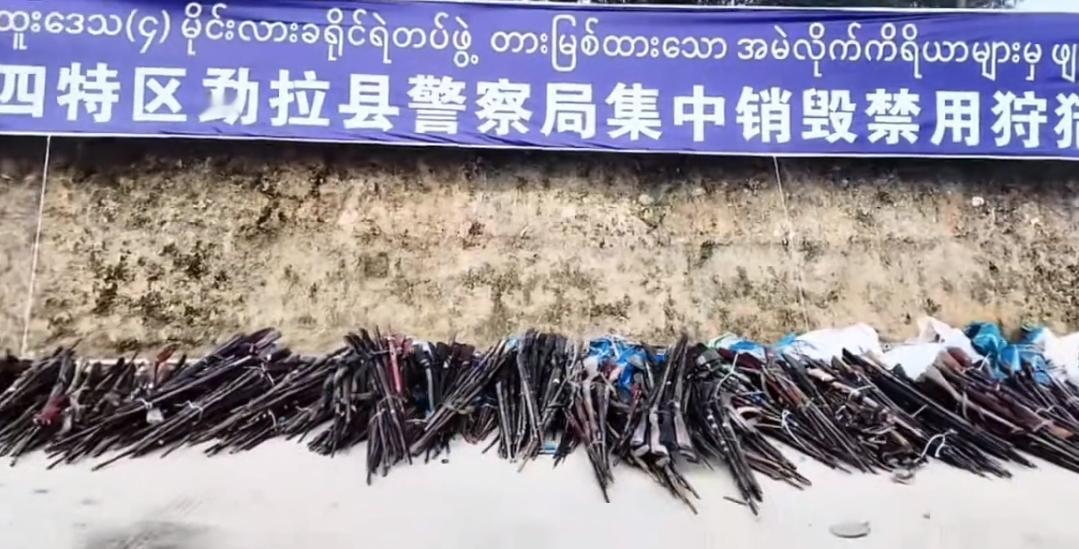 缅北勐拉地区销毁数百支猎枪！目前的缅北地区，全部都在禁止猎杀野生动物。首先是