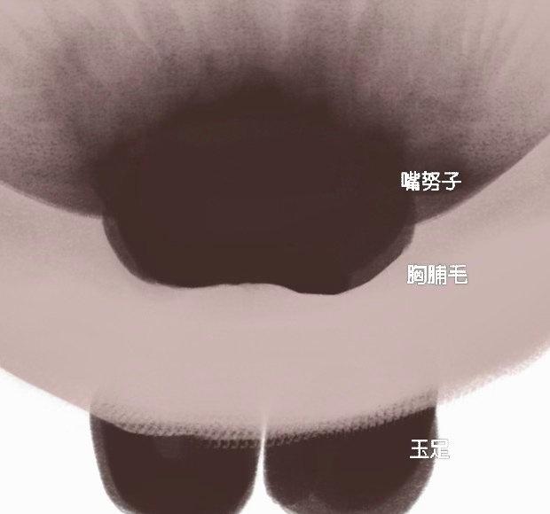 妹子们我想看这种角度的奥利奥逼罗(•̶̑ૄ•̶̑)​​​