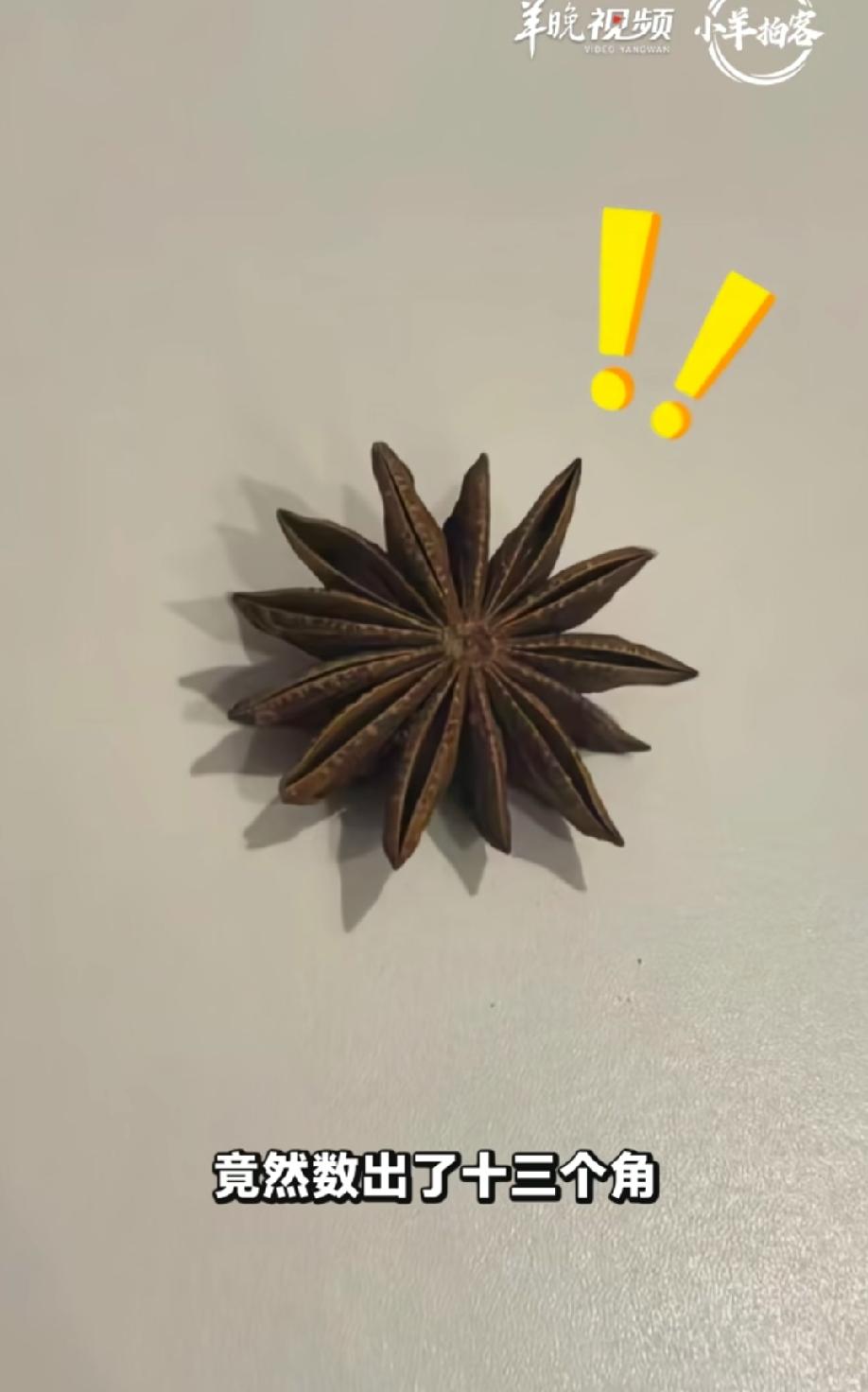 煮菜前随手翻出一颗“怪物”八角，谁能想到这一翻竟翻出一场虚惊？一位女士从超市买回一袋八角，回家拆开袋