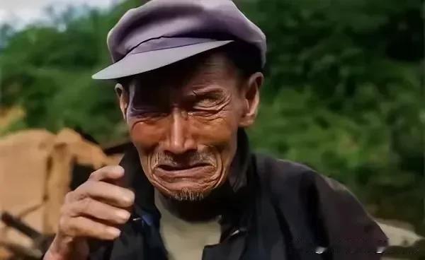 现代的农民确实不好做。做农业体系的人才叫农民，要在农村做好农民，当好农民可就不