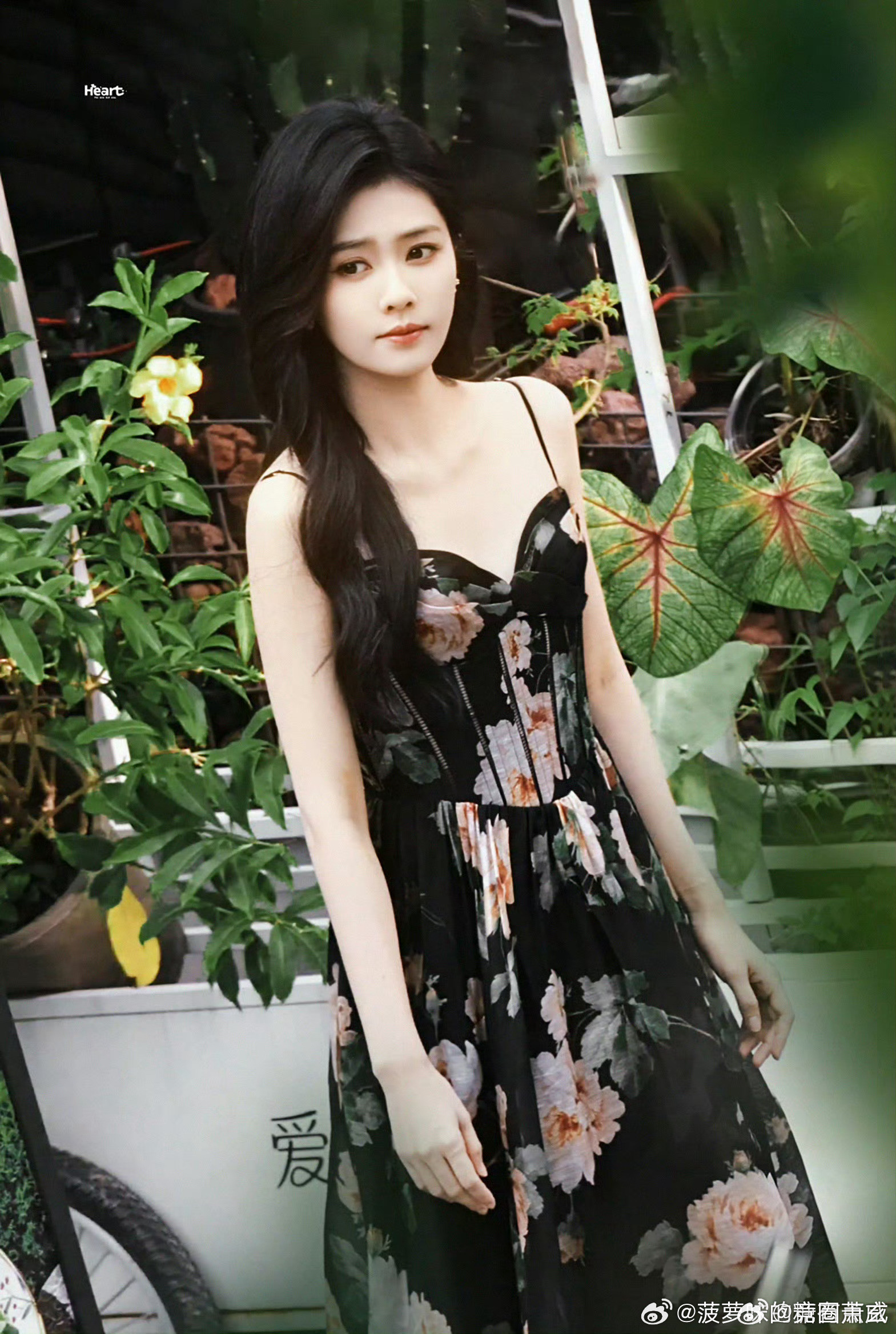 白鹿常华森吻戏好苏太美啦吧，白鹿这造型也太美啦，这吻戏也好苏​​​