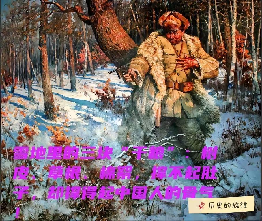 你以为杨靖宇只是弹尽粮绝才牺牲？其实不是。翻日军解密的档案就知道，他最后那段日子