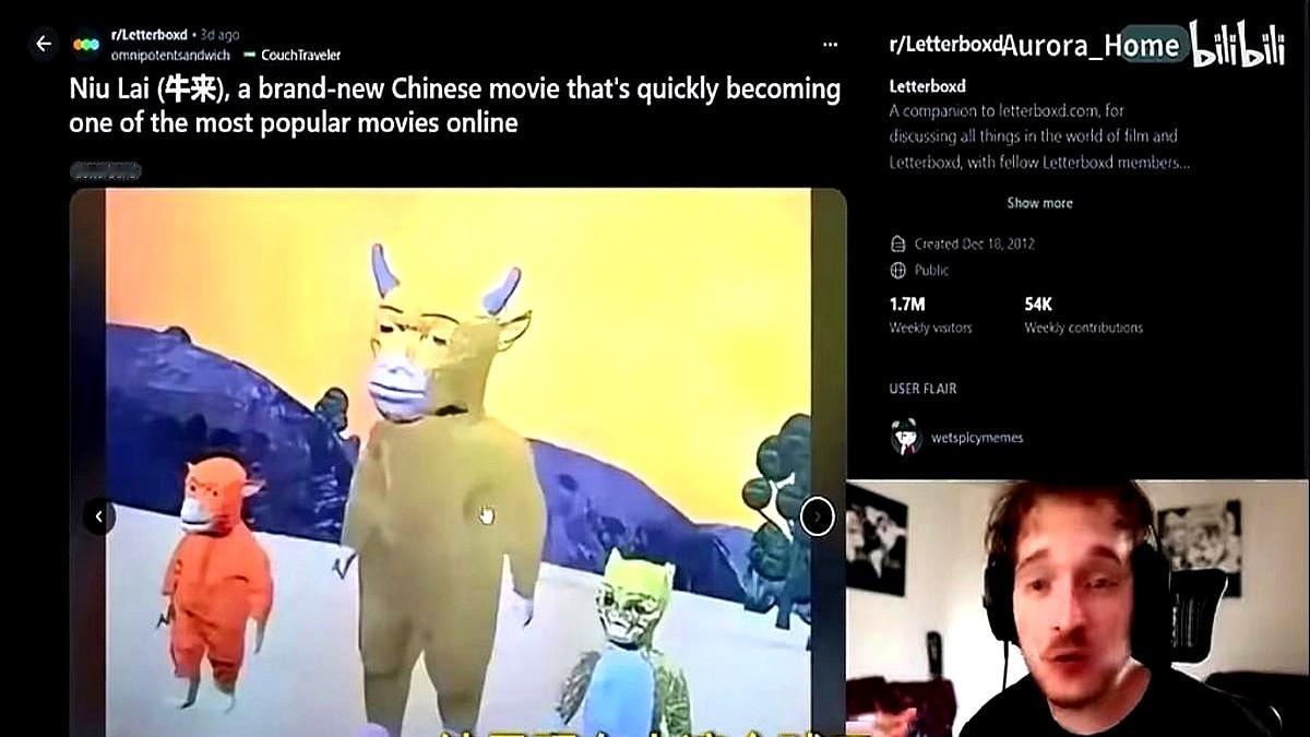 几万块成本的电影，前十天票房七千出头，眼看要下线。这就是《牛来》。导演和家人