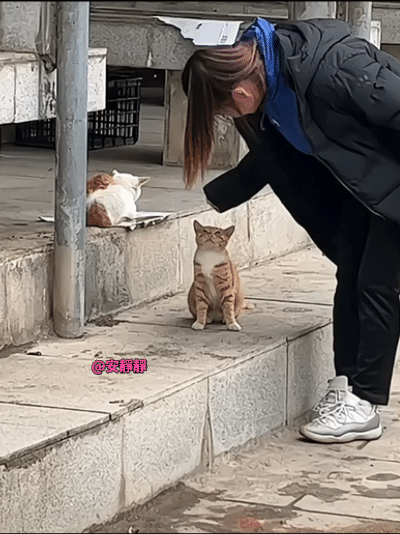 🐱:今天的爱有点坠脑瓜子