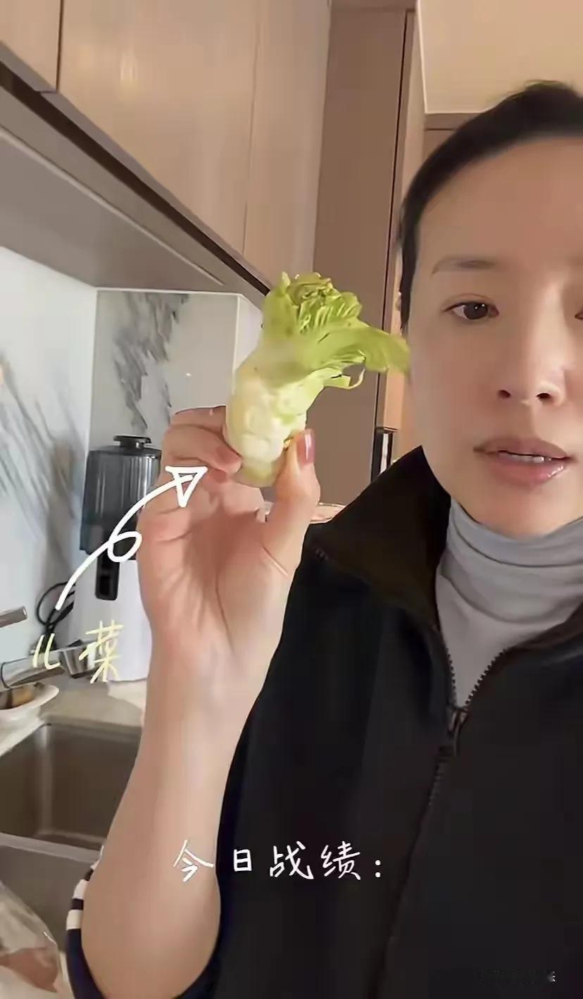 45岁的董洁定居北京，住着豪宅却有着别样生活。她不请保姆，也不依赖暖气，在看似奢