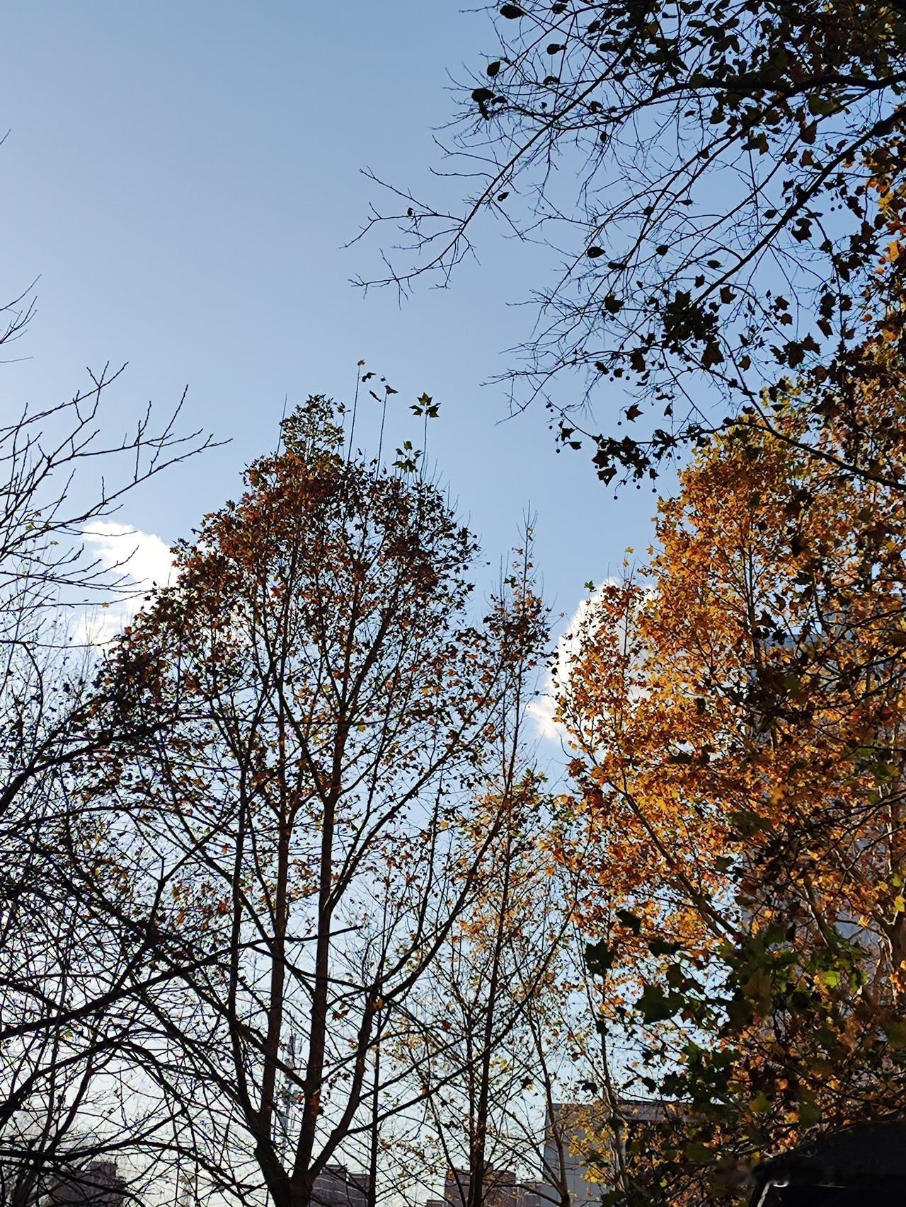 都不知道怎么吃了，一会多一会少