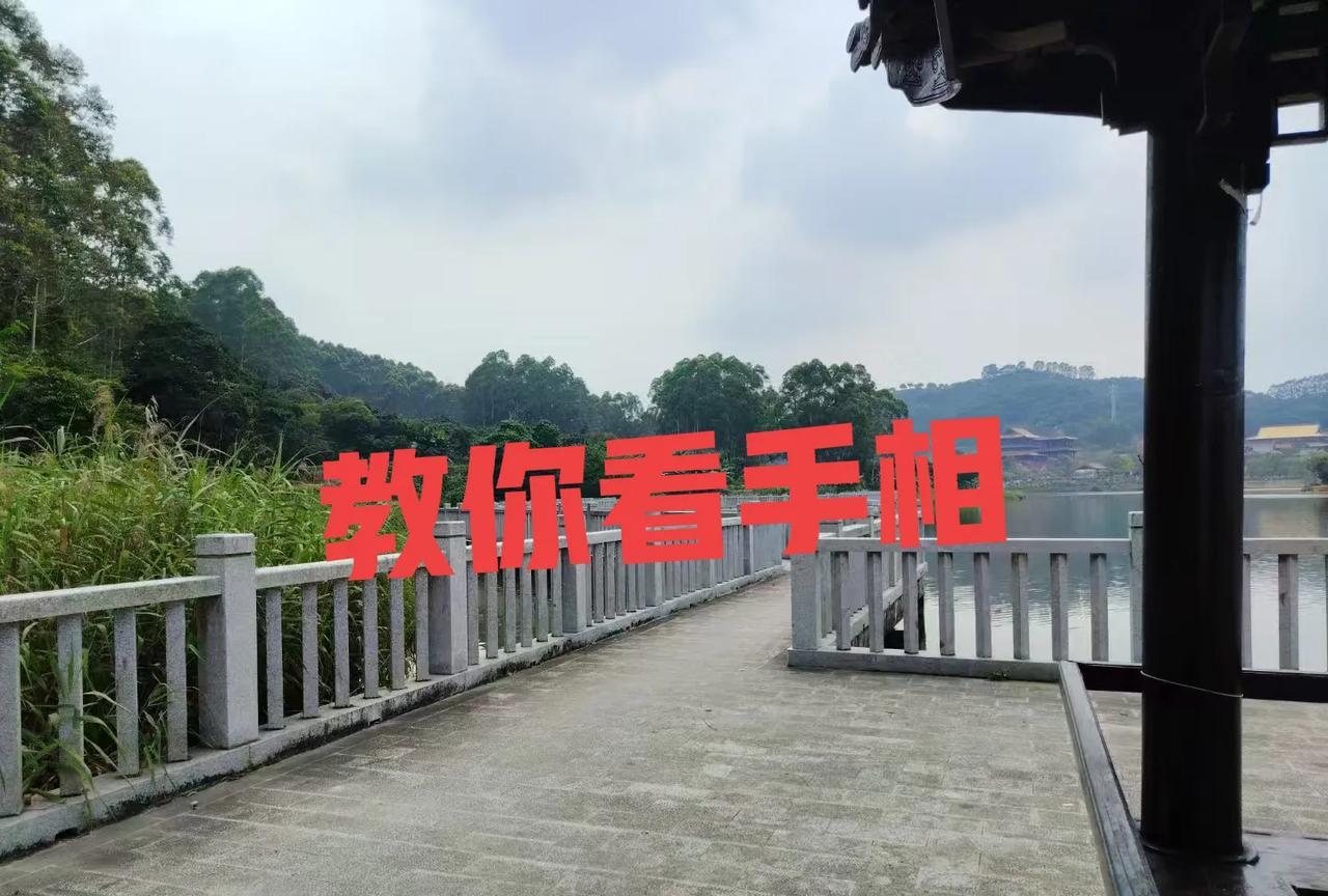 教你看手相（一）一：正统手相学观点：以右手为主（占80%参考价值），左手为辅
