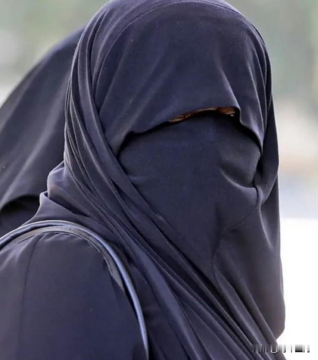 近日，瑞士，一名穆斯林妇女因穿着罩袍被罚款100瑞士法郎（126美元）。