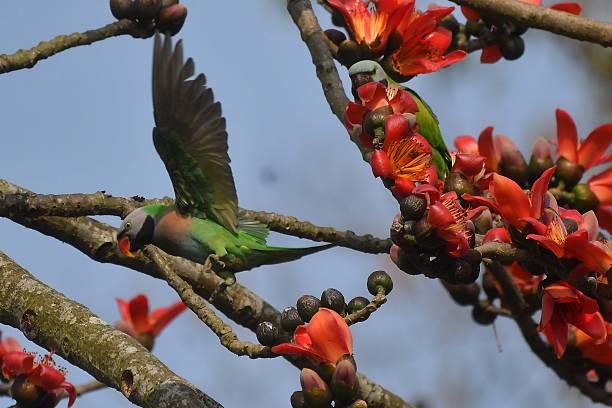 一位社会问题研究学者说：越穷越舍不得放手，才是很多家庭翻不了身的真相。很多底