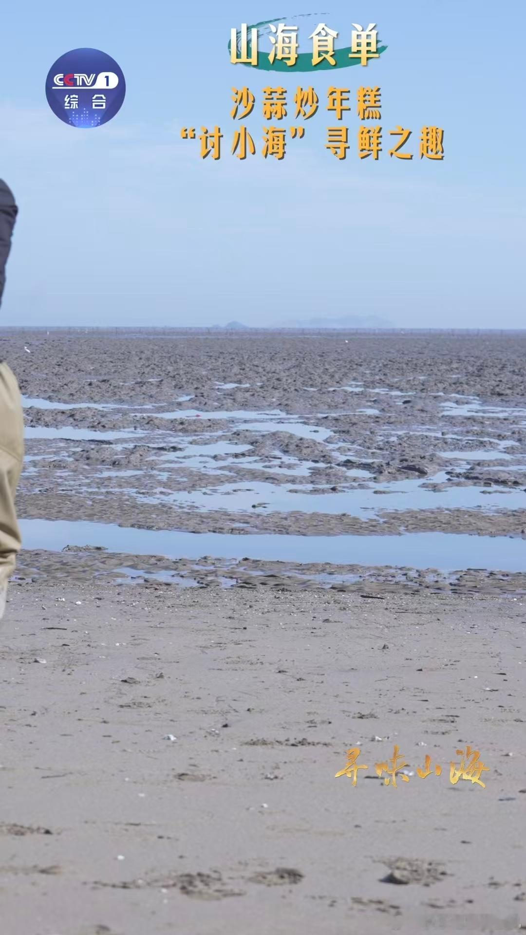 浙江人才懂沙蒜炒年糕的含金量临海人把挖沙蒜叫讨小海，这胖墩墩的小东西遇上糯而不