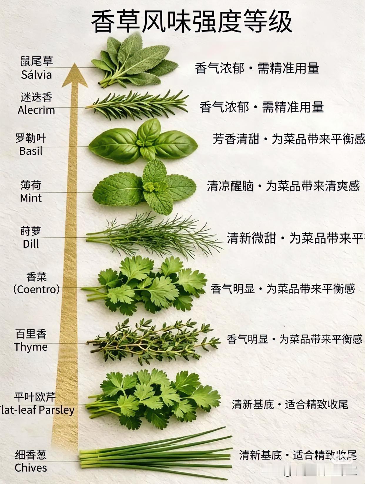 炒菜香料