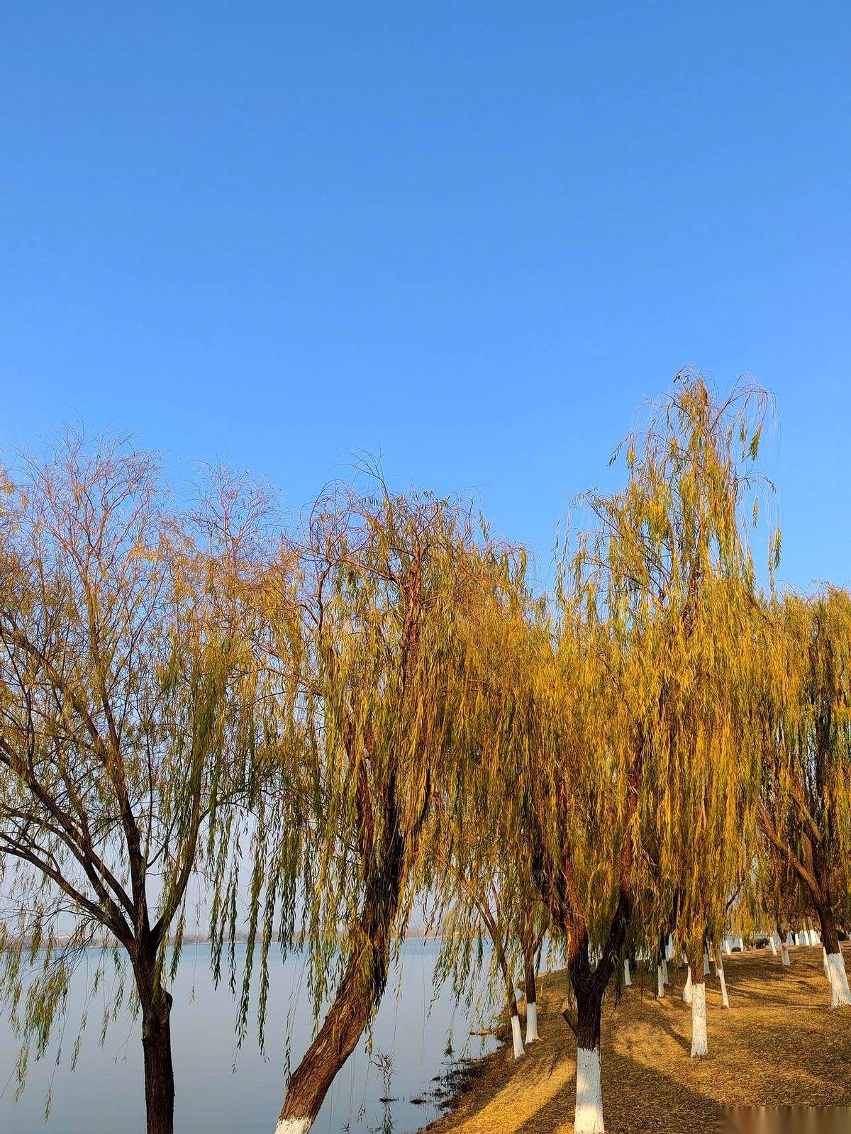 96年的男同事，上周还在嘻嘻哈哈，这周人直接就躺医院了。一张体检报告，甲状腺5