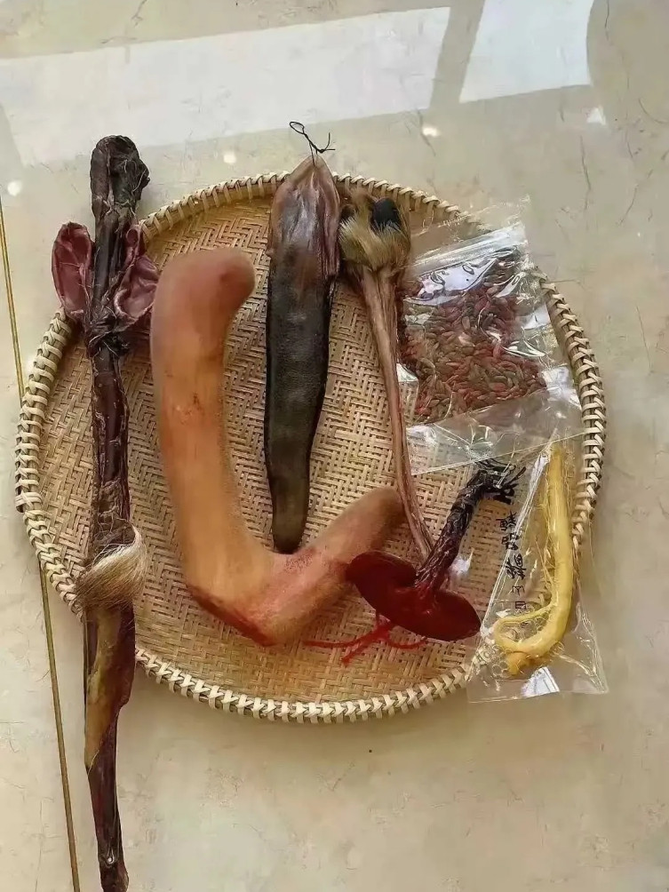 老仗人送过来的，这东西有用吗？
