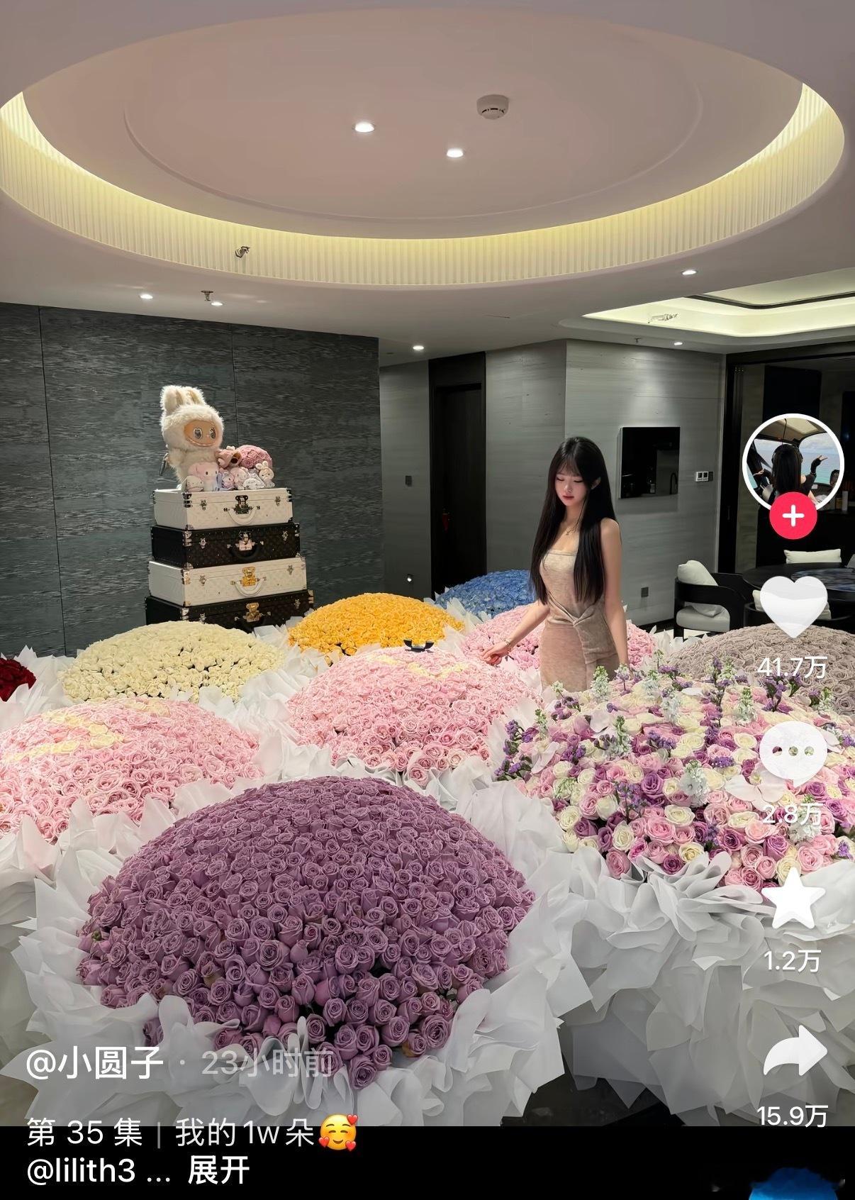 表白搞这么大的阵仗我恨有钱人