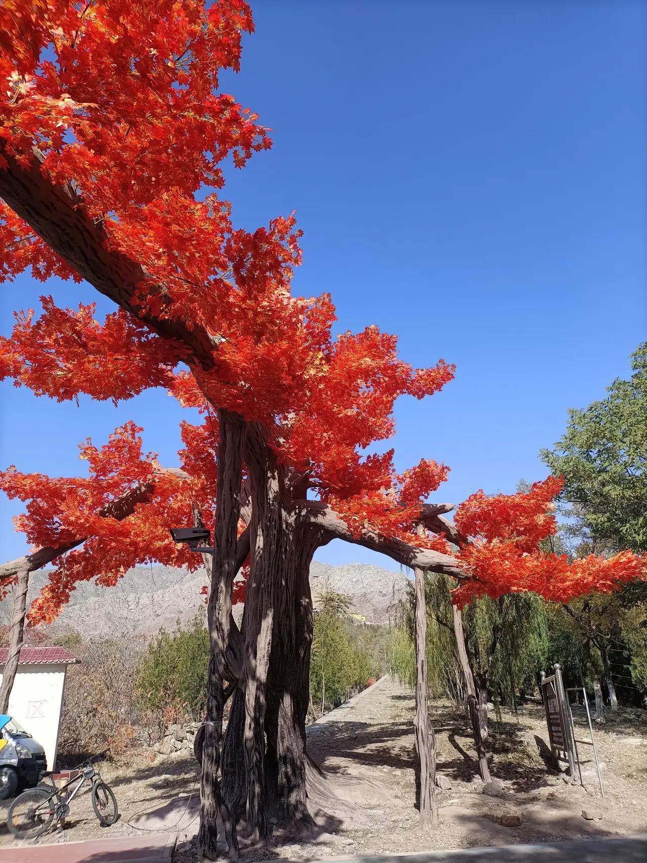 分享一张秋色的美景