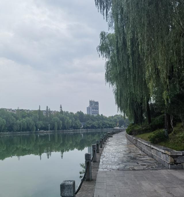 学校职称名额出来了，副高就一个，直接炸锅。两百多老师，副高岗快满了，给这么点名额