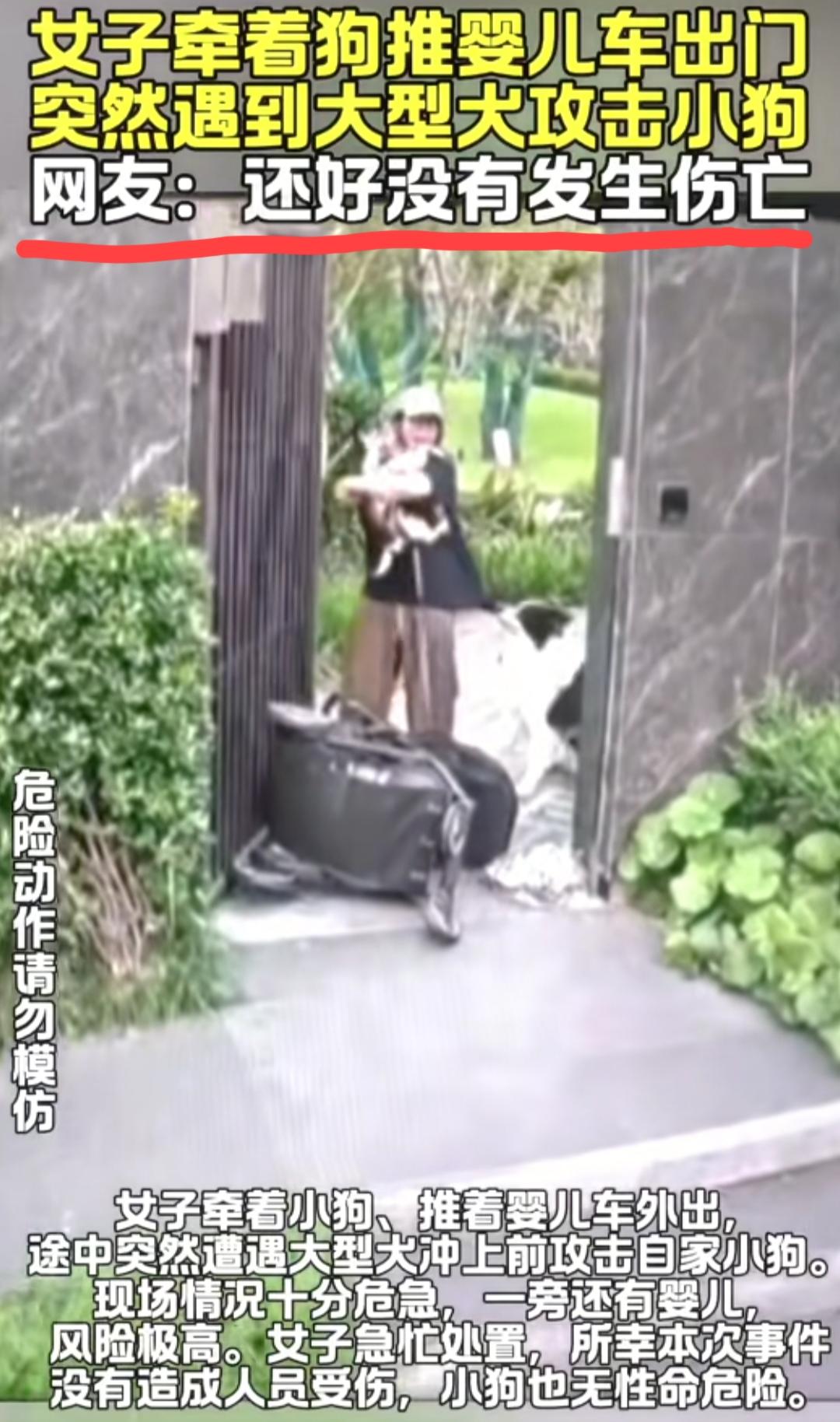 女子推着婴儿车遛狗，遭没有栓绳的大型犬攻击，车里摔倒的婴儿不管，就只顾着抱在怀里