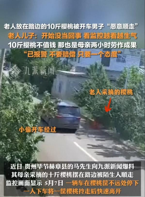 太坏了！贵州一老人摘10斤樱桃放路边卖，不料还不到3分钟，就被一陌生男子，开着车