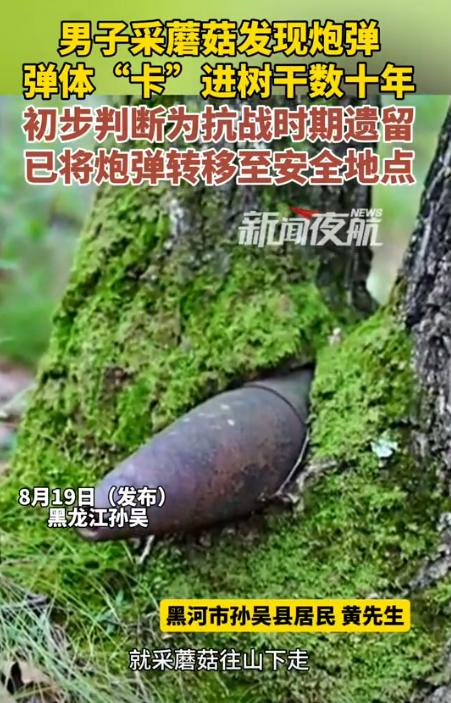 “太吓人了！”近日，黑龙江黑河，一男子上山采蘑菇时，看到树上卡了个东西，他好奇的
