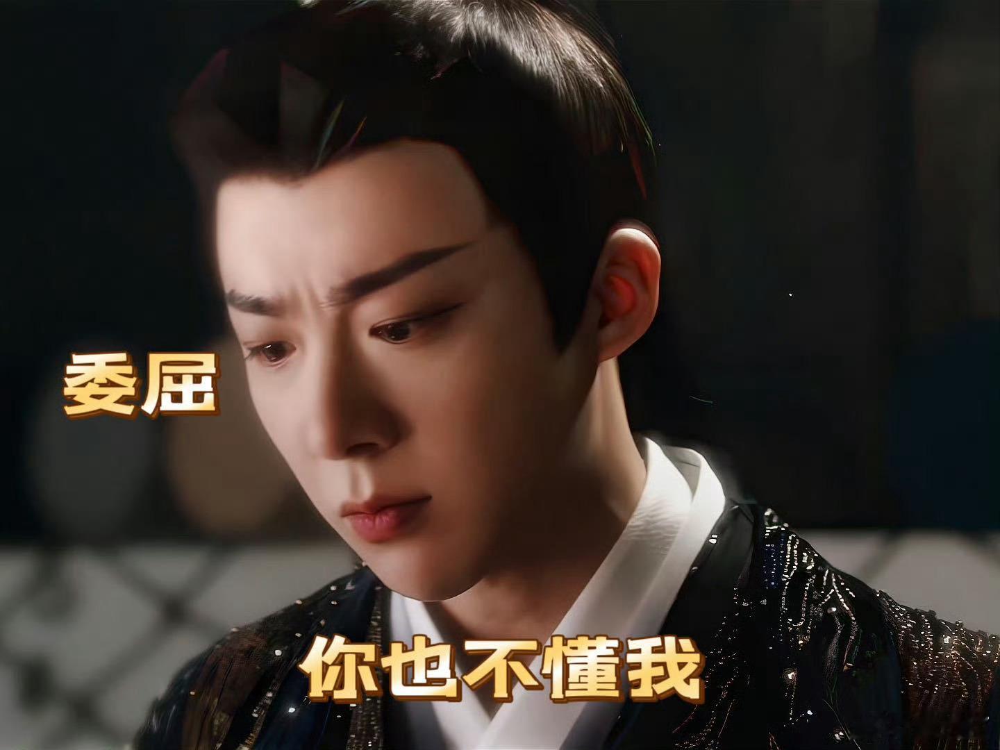 刘宇宁演活了南珩的委屈南珩一角在刘宇宁的塑造下鲜活无比，他把从冷面杀神到脆弱少年