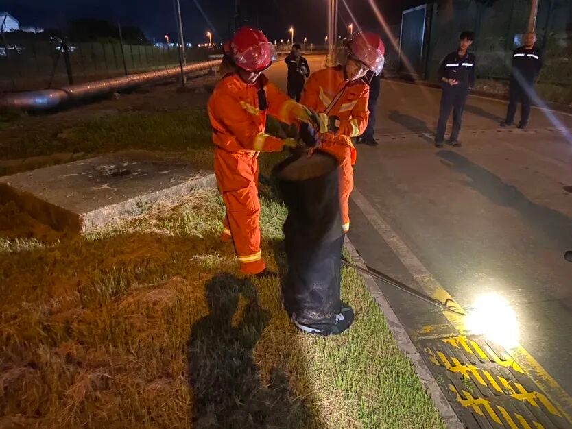 深圳一草地惊现超两米大蟒蛇¹深圳肯定是有蟒蛇的！不得不说下著名的大亚湾核电站，