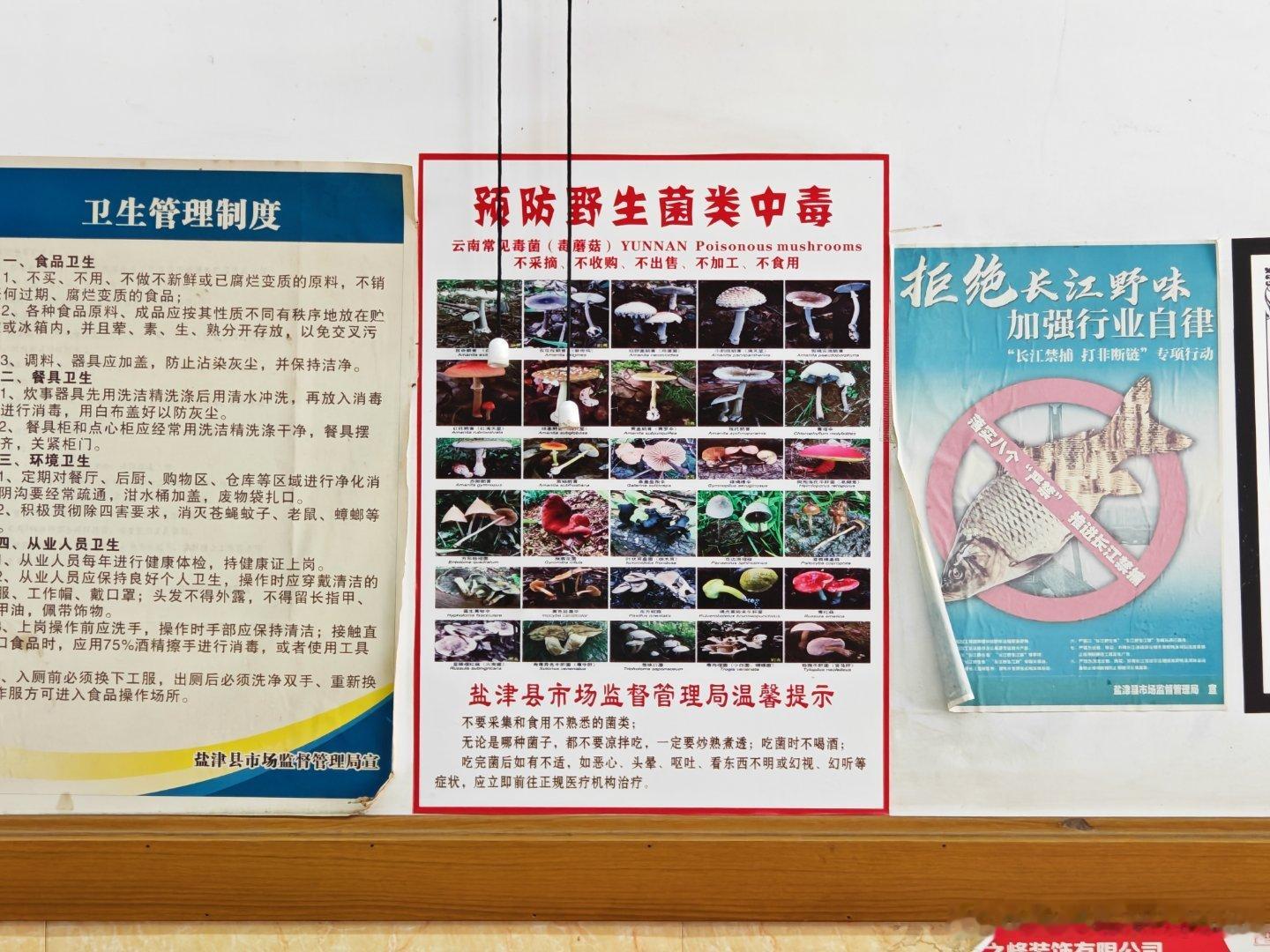 本来没想吃菌子的，但看到饭店墙上这菜单，就很想吃了