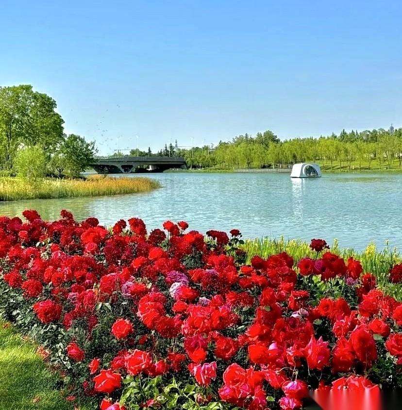 今年的清明，透着一股子邪门。高速堵得跟停车场似的，景点里人挤人，结果老家的坟头