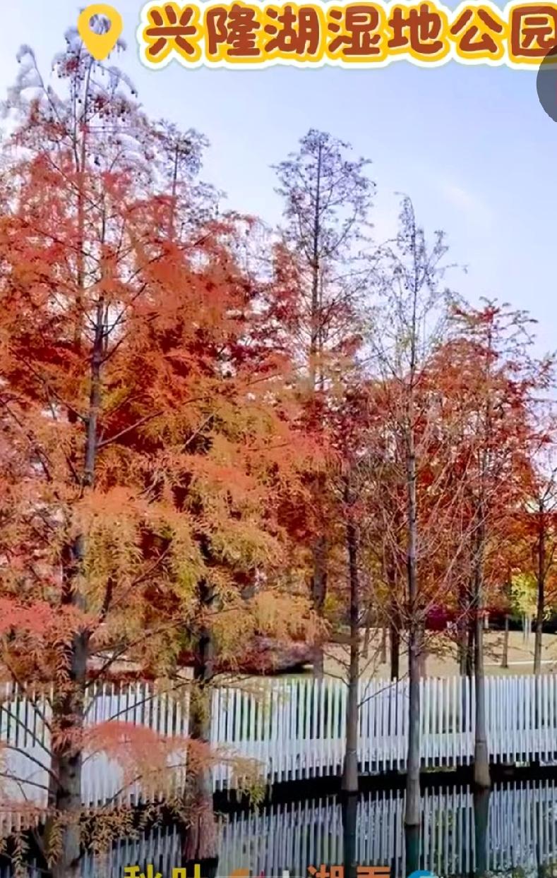 别再说成都人只会喝茶了！这才是2147万人的真实生活，看到第2句破防了…凌晨