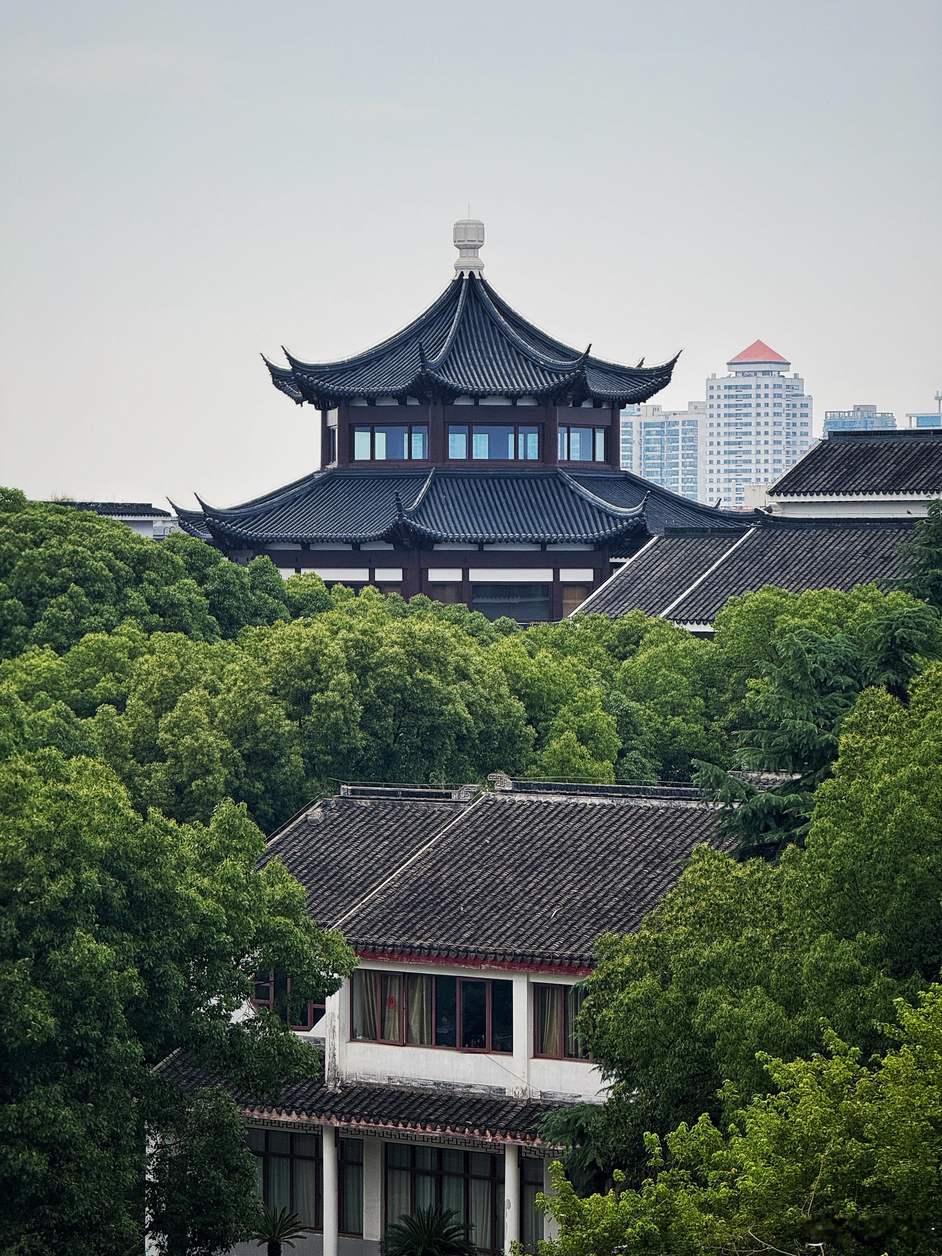 苏州不错，下次还来🏯欣哲频道苏州​​​
