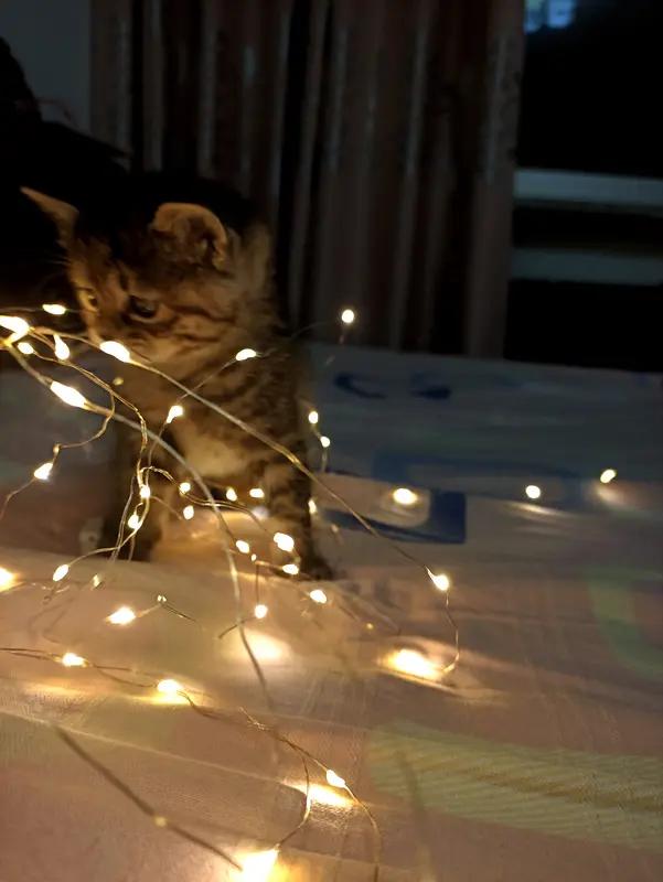 吵架时最怕啥？不是摔门，是冷不丁冒出那句：“跟你妈一个德行！”好家伙，一句话