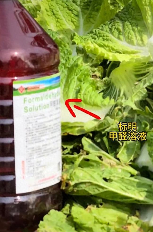 于东来估计都懵了！甲醛白菜刚曝光才3天，胖东来啥也没干，反倒意外爆火出圈！