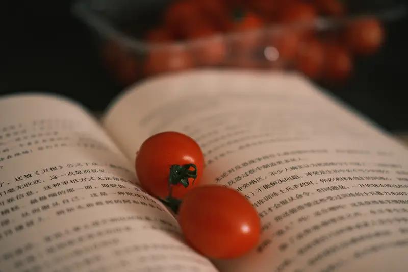 你逢人必推的一本网络小说是什么?我逢人必推的网络小说就是番茄小说的《十日终焉》