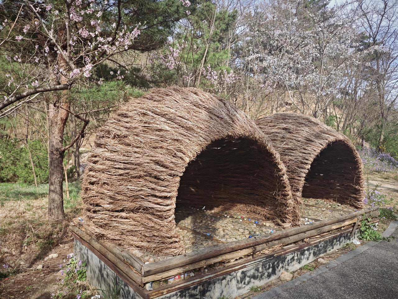 朋友说前段时间放假，她和老公去青岛住了几天，住的两室一厅的民宿。她家没有孩子，我