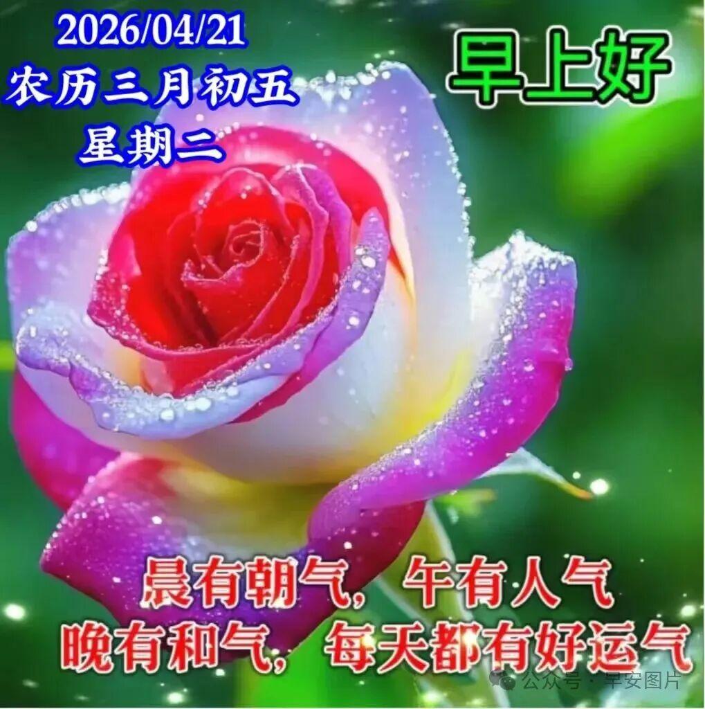 人生路长，往后的岁月里，静看一树花开，慢亨三歺四季。体会生活的浪漫和美好，人生一