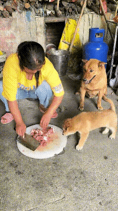 真的应了那句话：当了妈，为了孩子什么都愿意做！主人在院子剁排骨，肉香扑鼻。