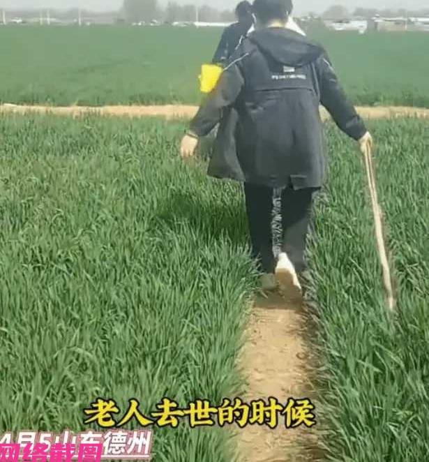 山东德州有三个嫁出去的姑姐，但在清明前后回娘家给老人上坟时，遭遇到家里弟媳的阻扰