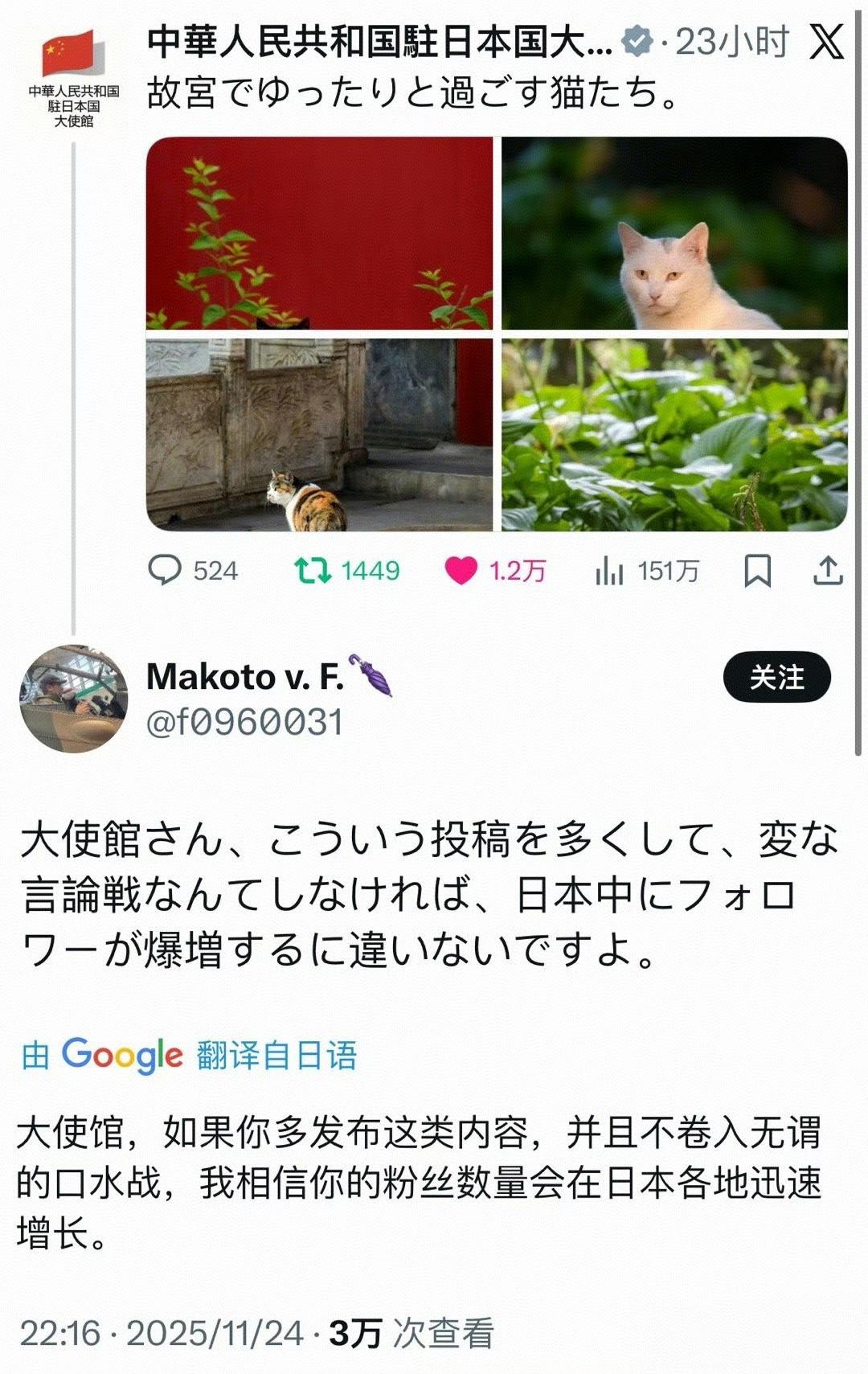 中国驻日大使馆中场小憩一下，发了故宫猫咪格格和如意点在照片。估计日本网友这几天也