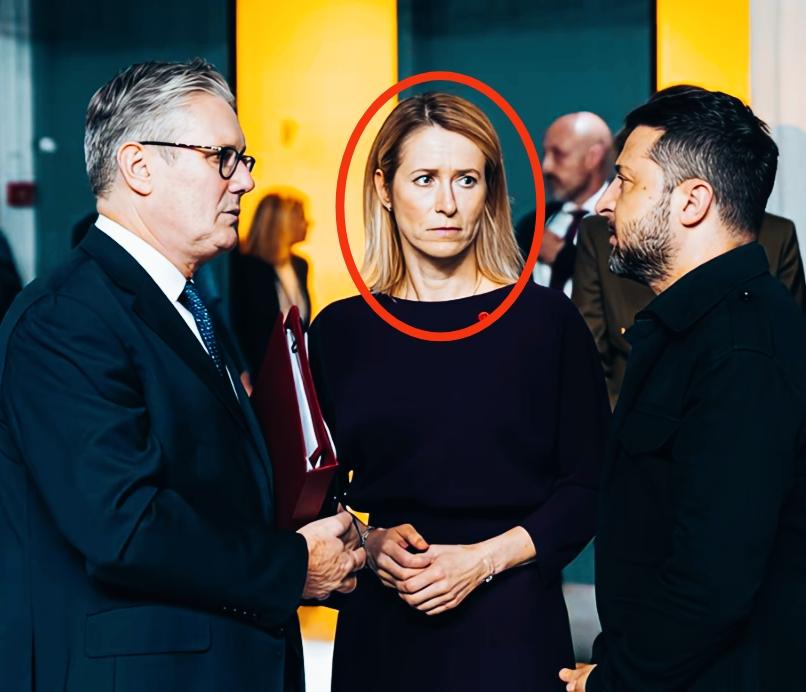 卡拉斯看向泽连斯基的眼神是不是很特别啊？卡拉斯这眼神是什么意思呢？这是在讨论