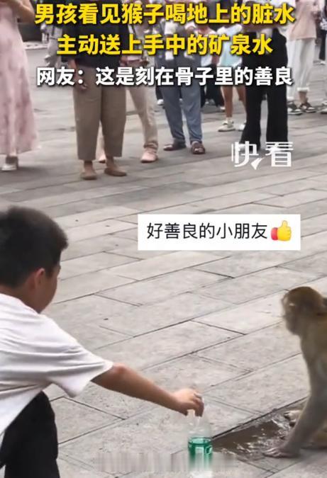 “上新华社了！”8月11日新华社报道，贵州景区里，一小男孩见小猴子在喝地上的脏水