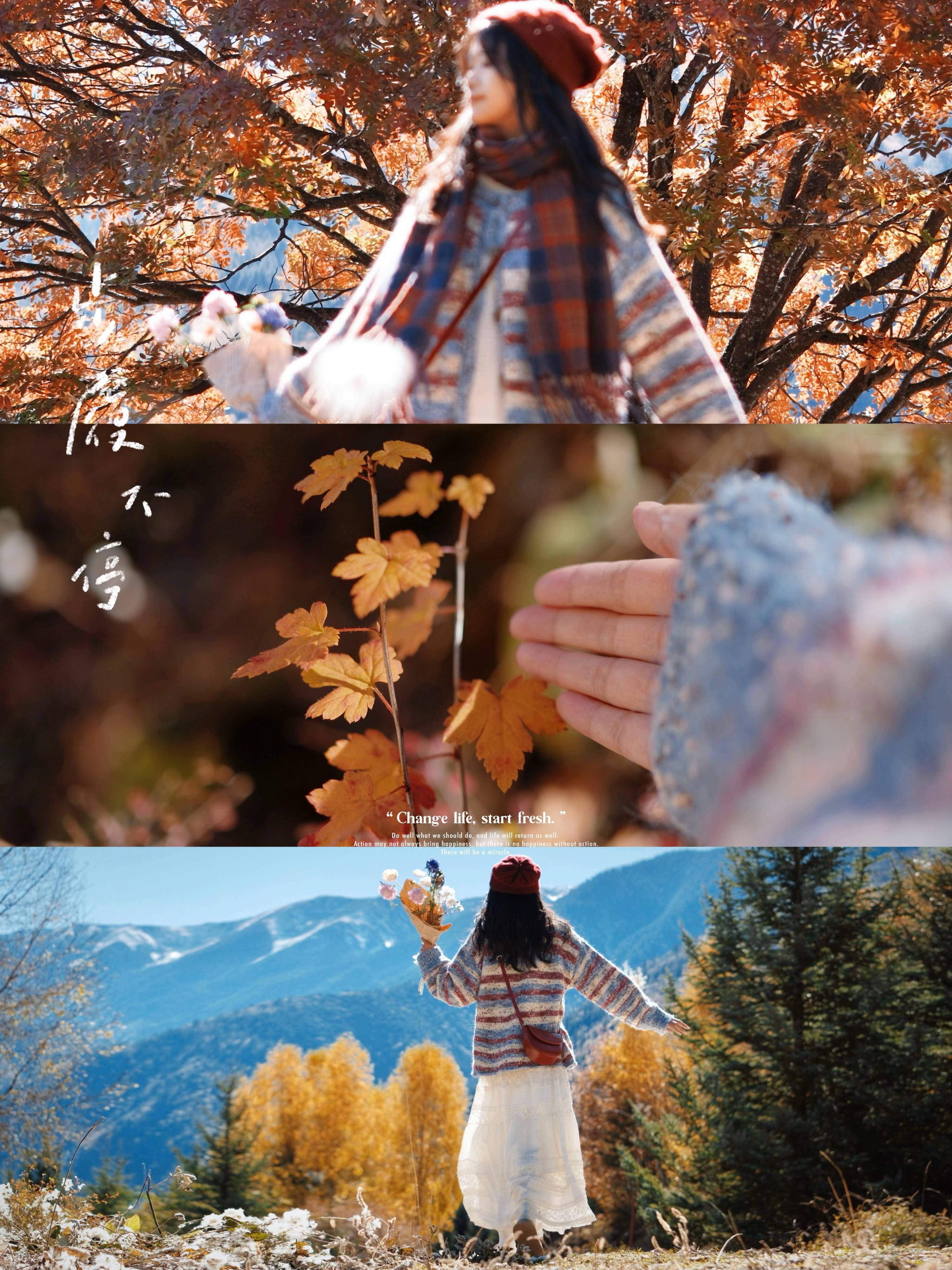 秋日旅行怎么拍出文艺氛围感｜出游拍照姿势和构图。到了冬天，成都大部分时...