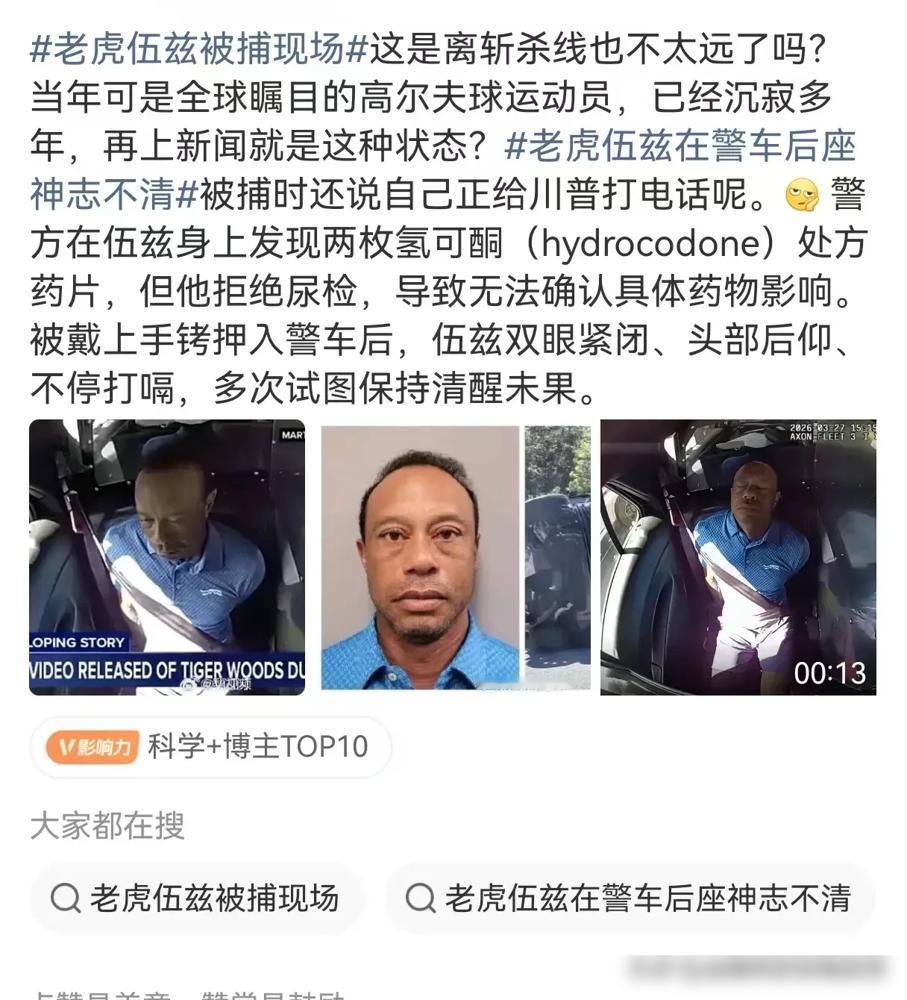 别嘲笑老虎伍兹被捕。他裤兜里的两粒止痛药，叫权力的底裤。酒精测试0.000。